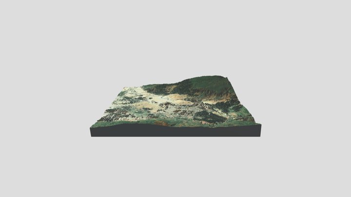Old_faithful 3D Model