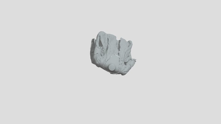 Kleed 3D Model