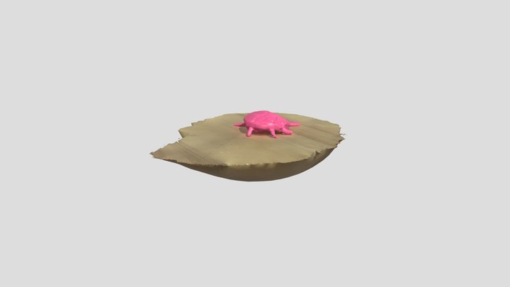 Turtle – Kostenloses 3D-Modell STL