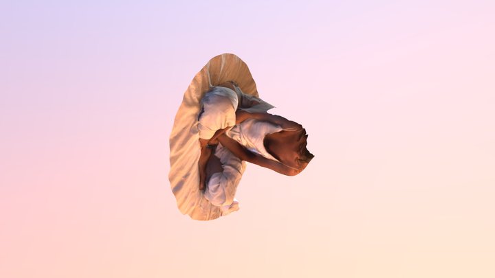 al 3D Model