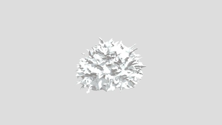 Crotos (Codiaeum variegatum) 3D Model