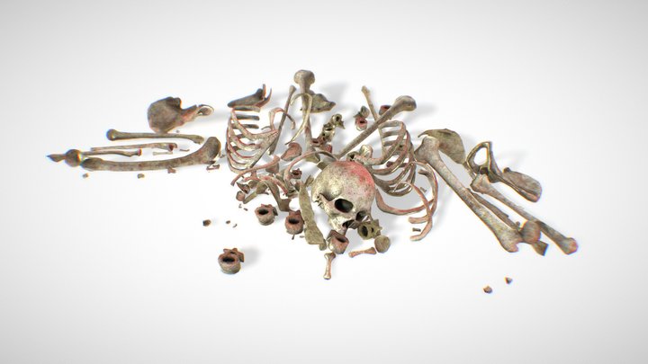 Bones Remains Skeletons 3D Model