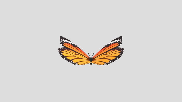 Beautiful Butterfly 3D Model