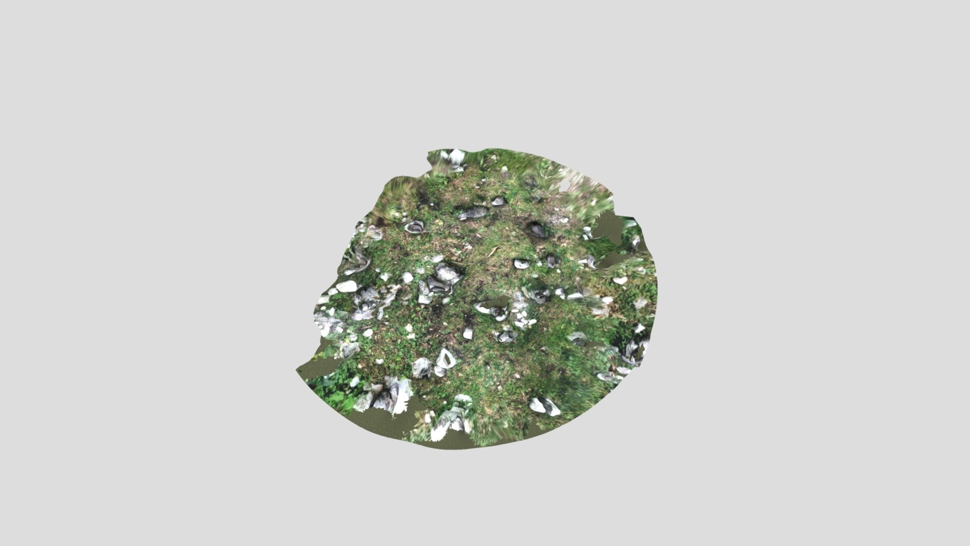 Flatsch