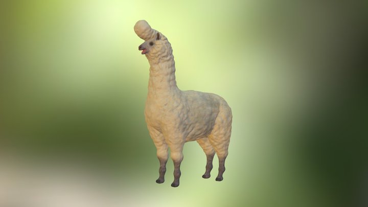 Alpaka 3D Model