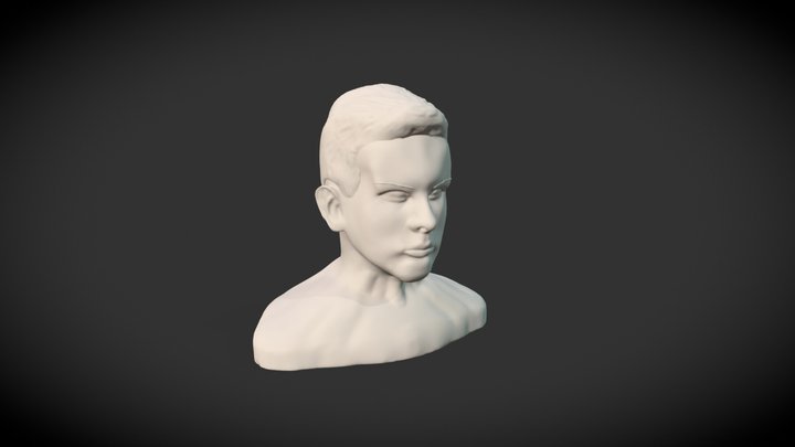 Autoportrét 3D Model