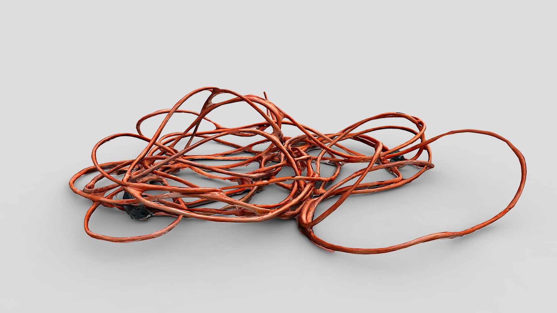Extension Cord Scan MEDPOLY - Download Free 3D model by EFX (@evan4129 ...