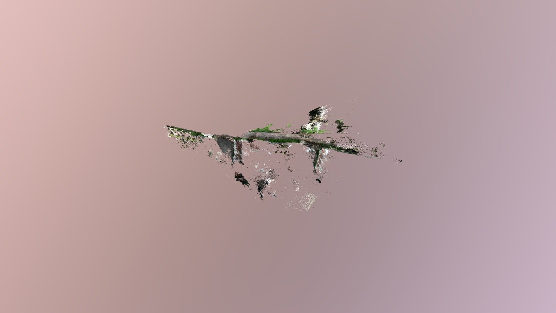 chris-381-densify-train