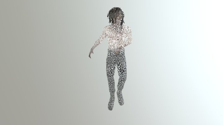 Drac Model 3 3D Model