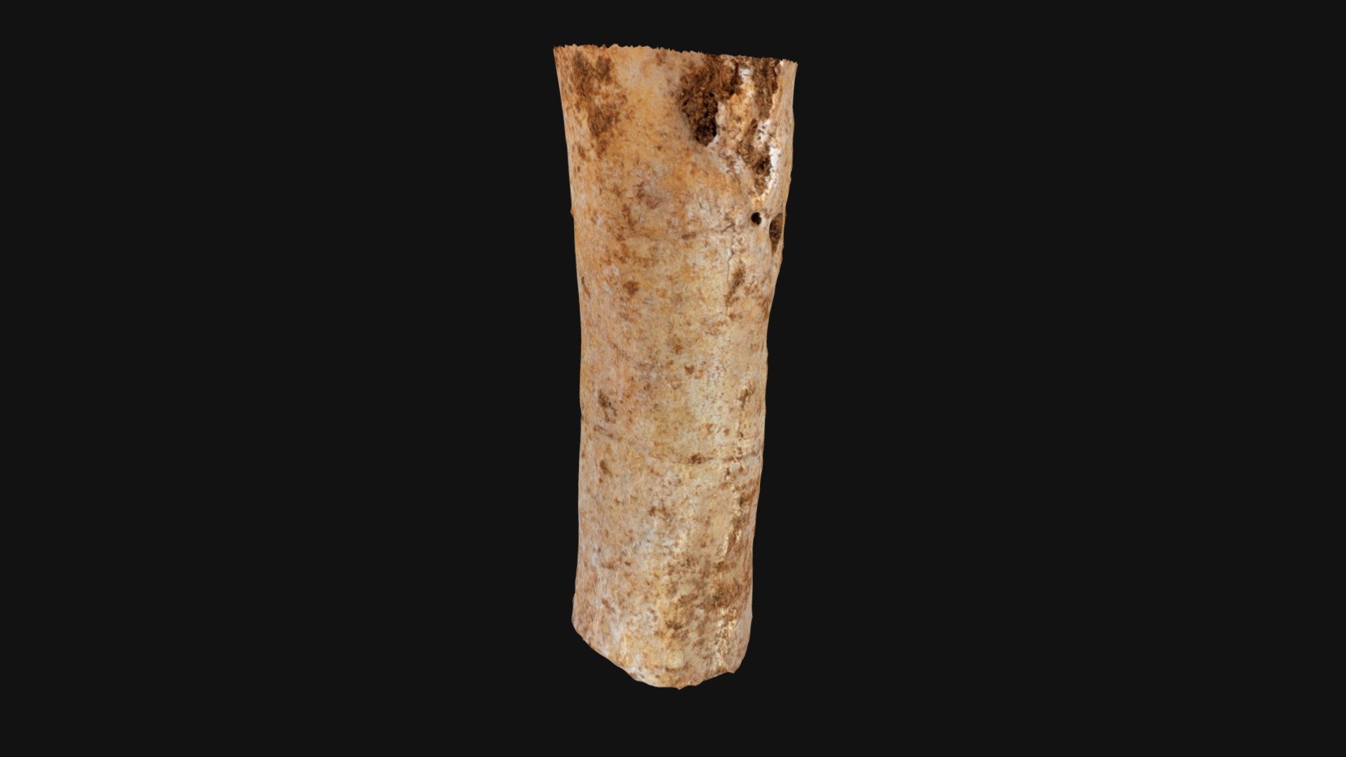 Slate Cave bone tube from cache