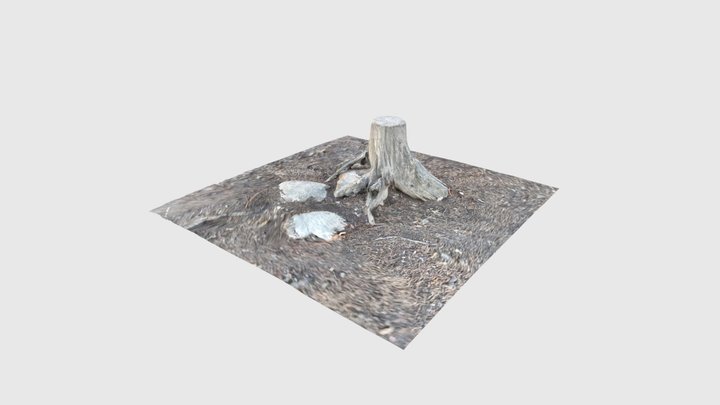 Tree stump 3D Model