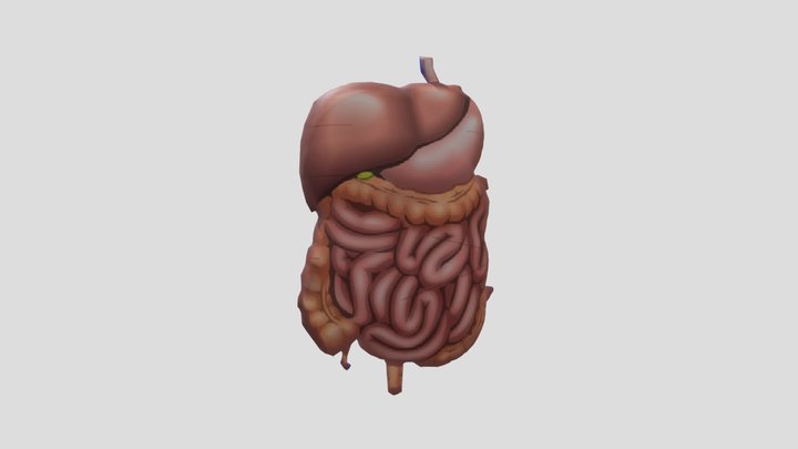 Bahan untuk kaya 3D Model