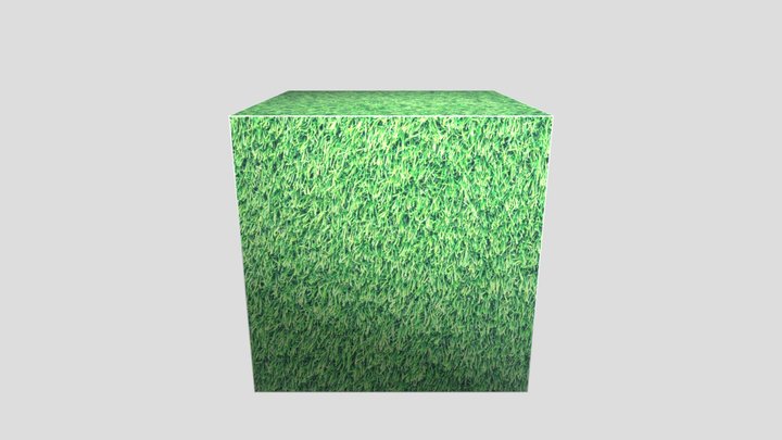 Crate Thingy But Grass 3D Model