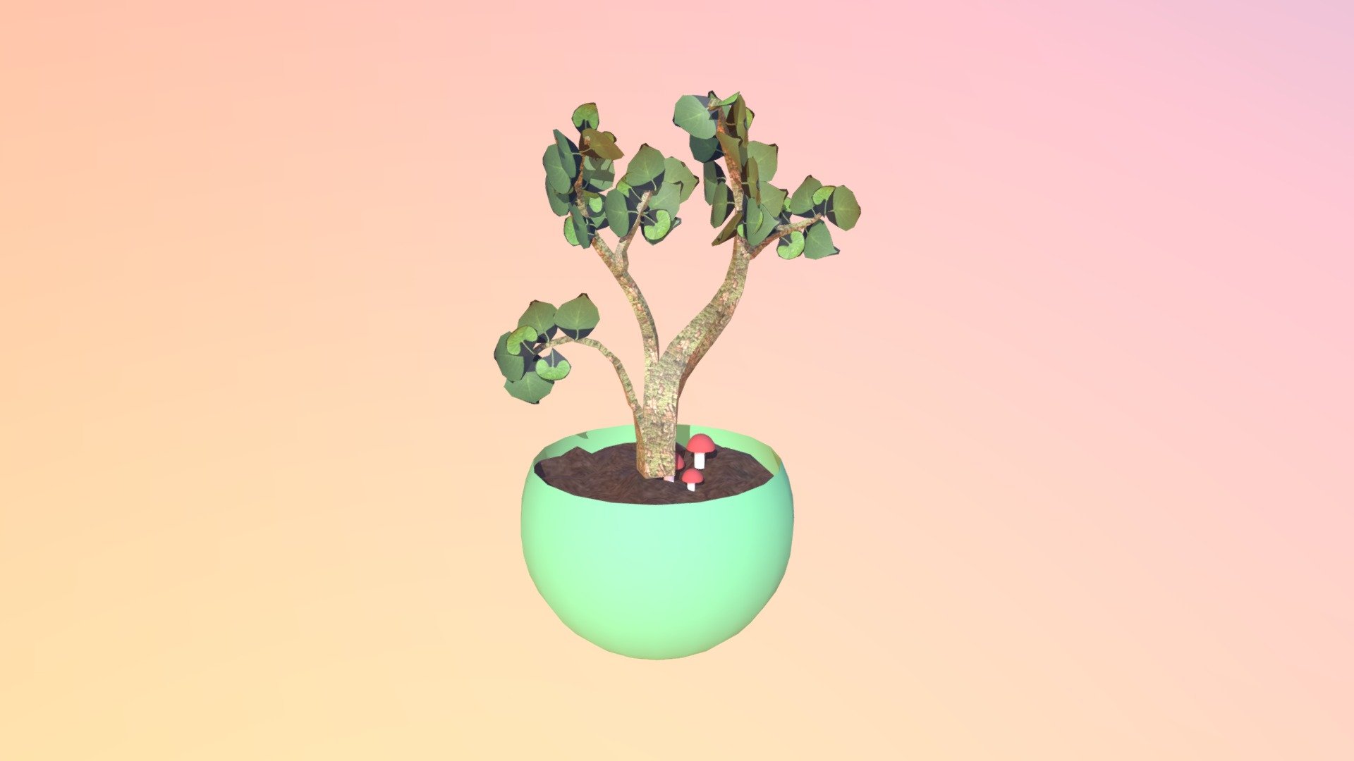 Week 8 Plant