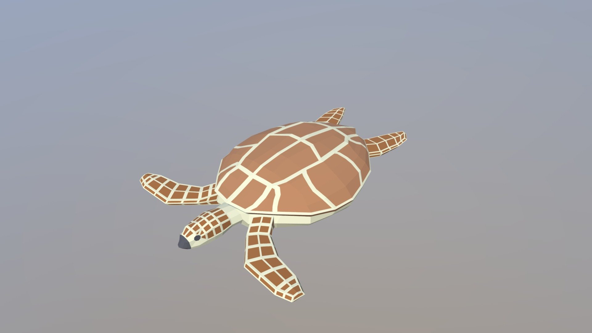 Low Poly Cartoon Loggerhead Sea Turtle