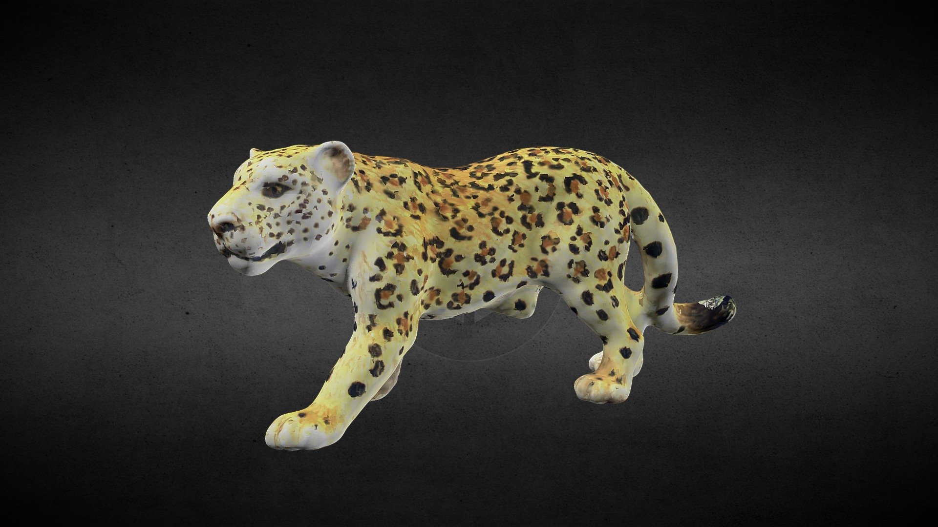 Cheetah