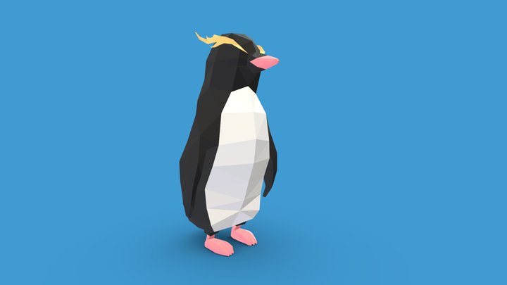 Low Poly Rockhopper Penguin 3D Model