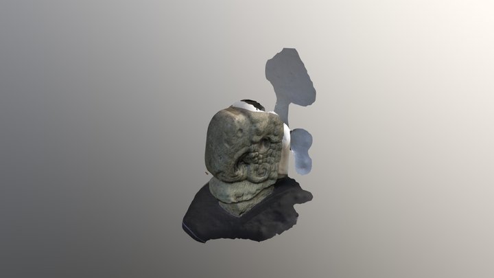 Cabeza guacamayo 3D Model