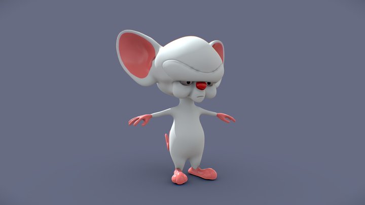 Zanellato_Camila Cerebrobro 3D Model