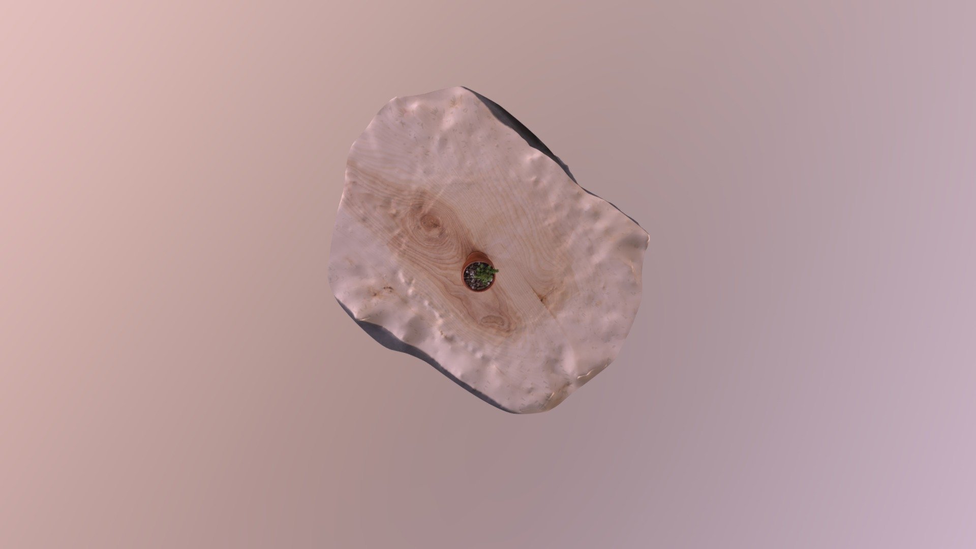 Plant