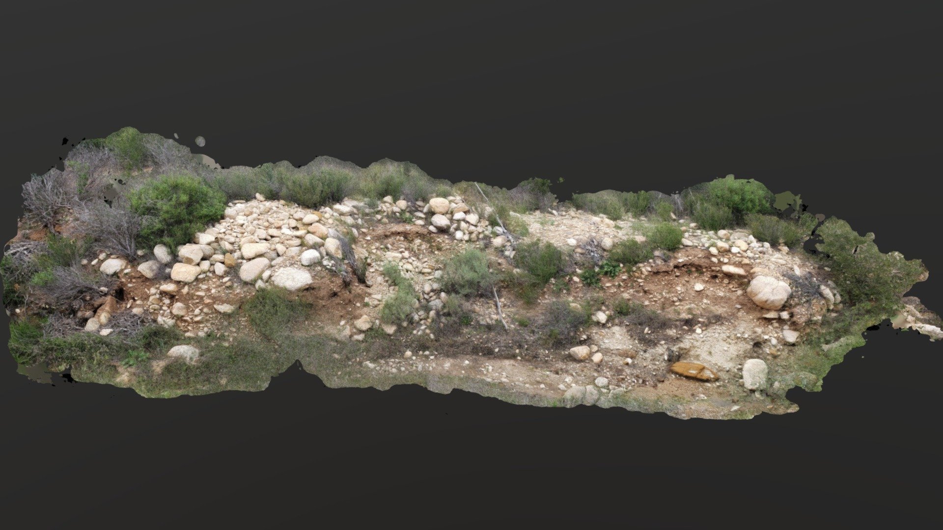 Creek bed