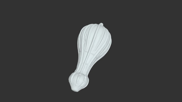 Nodosaria inflata (206628) 3D Model