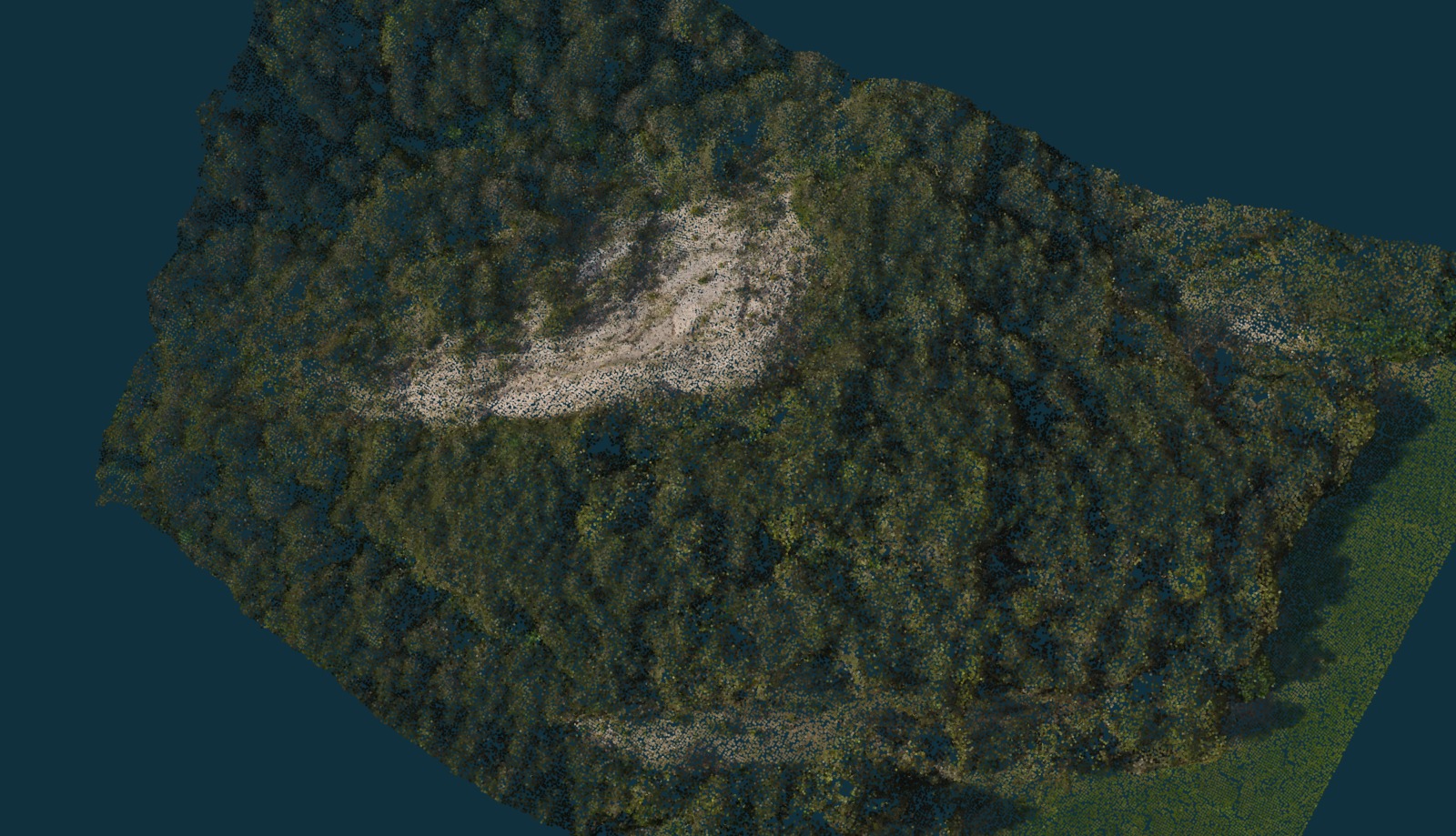 Point Cloud of Pine forest & Geology - Download Free 3D model by Jaume ...
