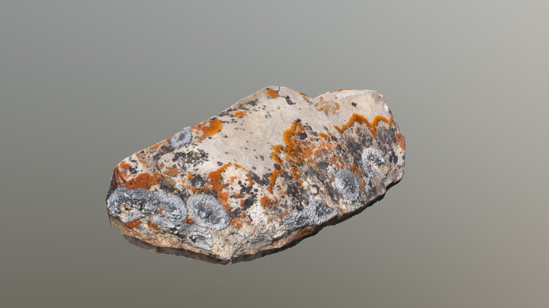 Upper Gros Ventre Rock 01