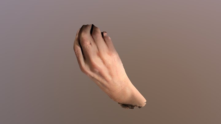 Hand 3D Model