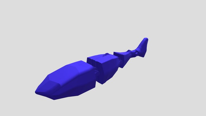 akula 3D Model