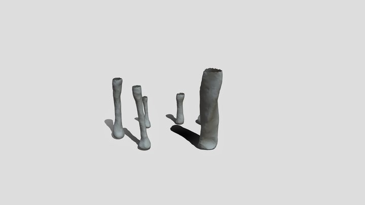 5 3D Model