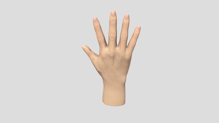 Hand #1 3D Model