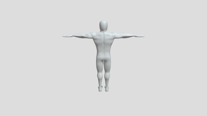 human body 3d model 3D Model