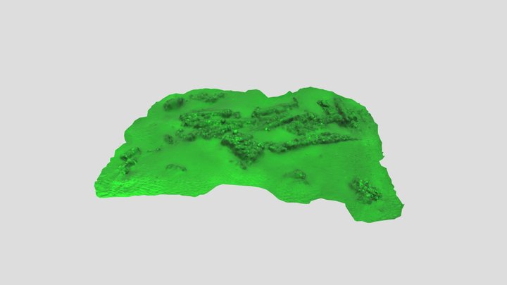 BHG2 Kanonnenwrak 28-08-2024 3D Model