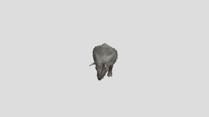 Triceratops animated model for production 3D Model