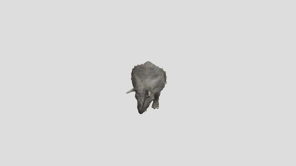 Triceratops animated model for production