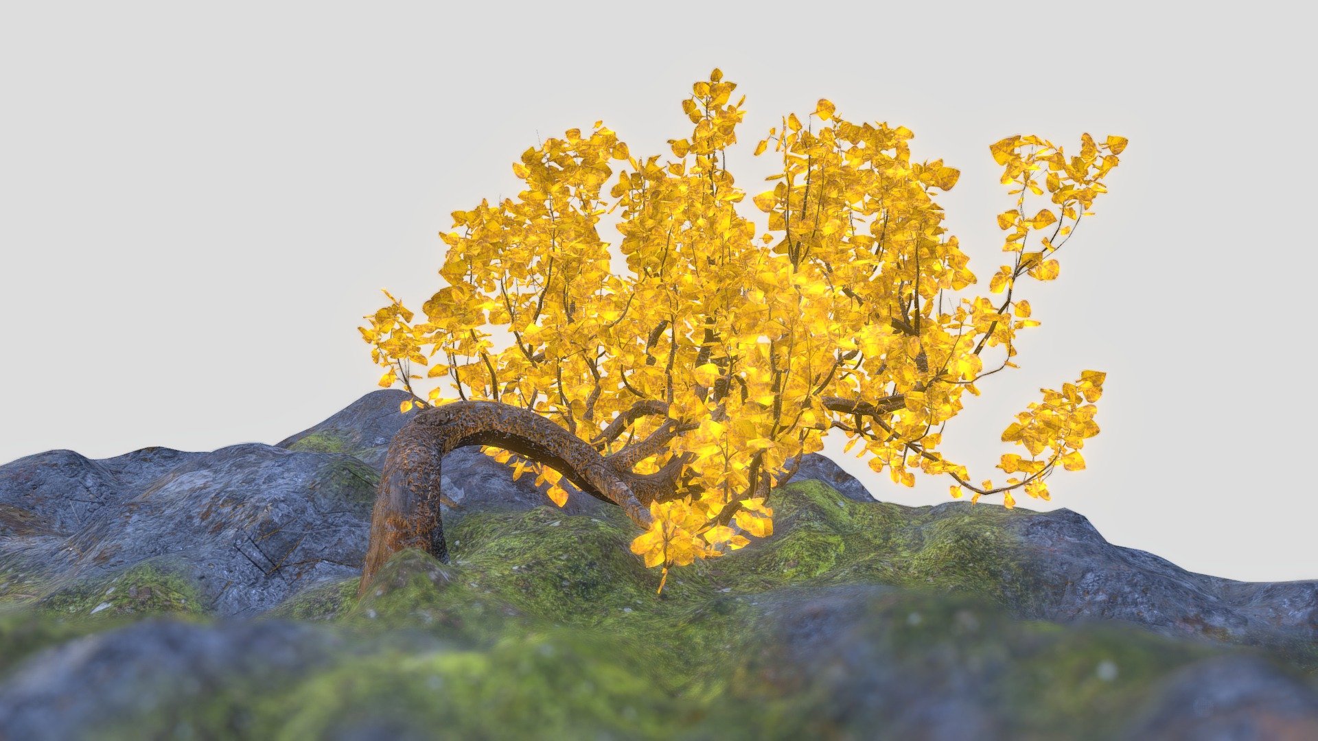 Fantasy Tree - Buy Royalty Free 3D model by PounUP [c67ac88 ...
