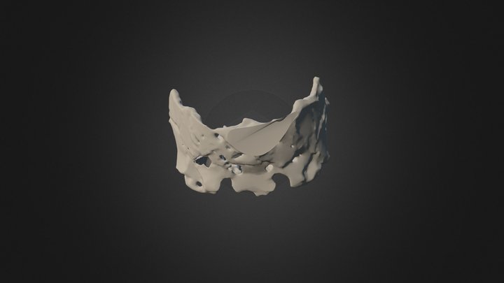 Homo antecessor 3D Model