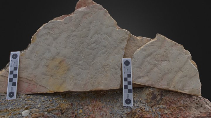 Cretaceous Heron-Like Bird Track, Ignotornis 3D Model