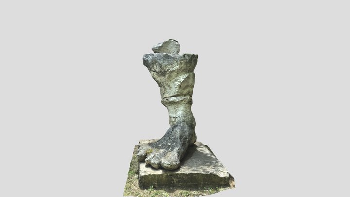 Piede-rapolano-decimato 2 3D Model