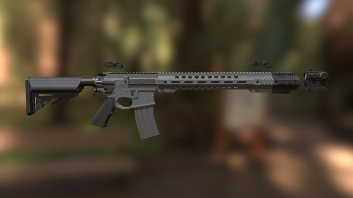 Salient Arms GRY 3D Model