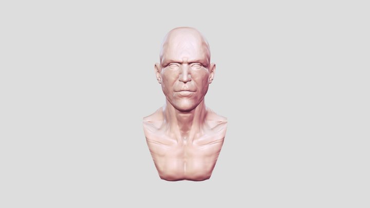 Male Head 06 3D Model