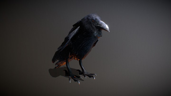 Raven - lowpoly 3D Model