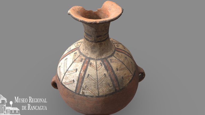 Aribaloide, Período Tardío, A-11 3D Model