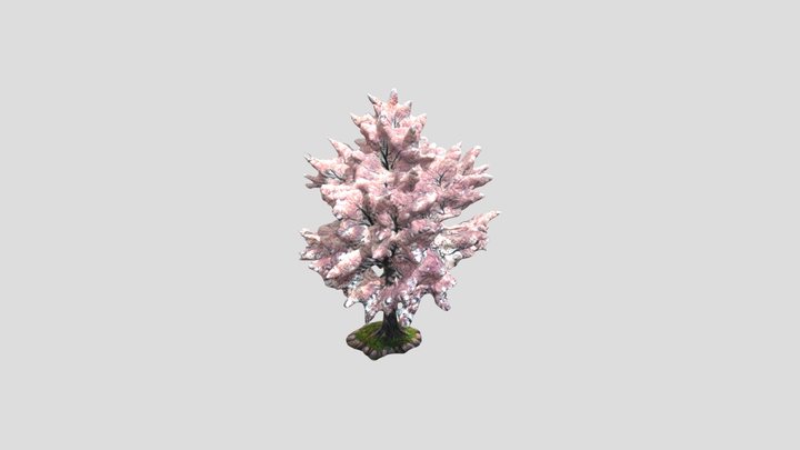 tree 3D Model