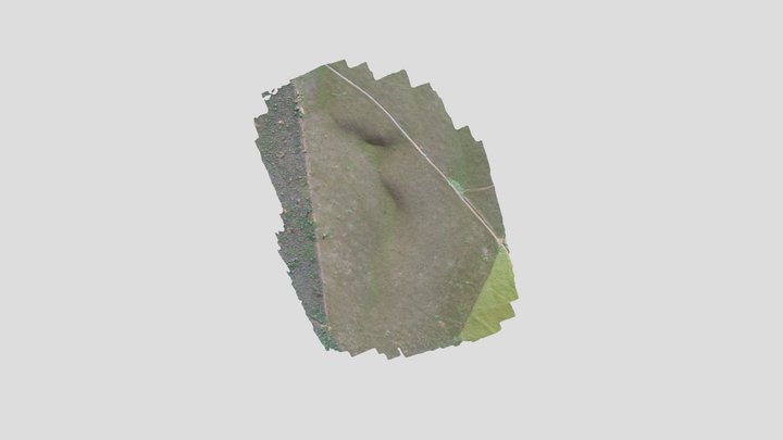 49-E1 Padre Paraíso 3D Model