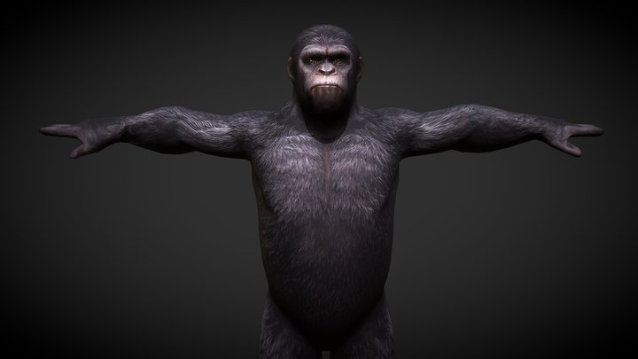 Caesar Planet Of The Apes Rigged