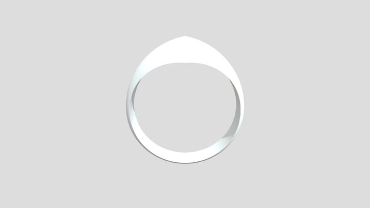 FFD104_21_Assignment_1e(Ring)_S8_CisilBegumKasal 3D Model