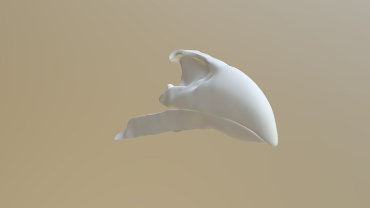 Bico Completo 3D Model