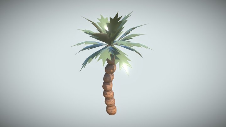 Palm Tree 3D Model